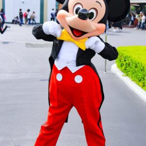 Mickey y Minnie